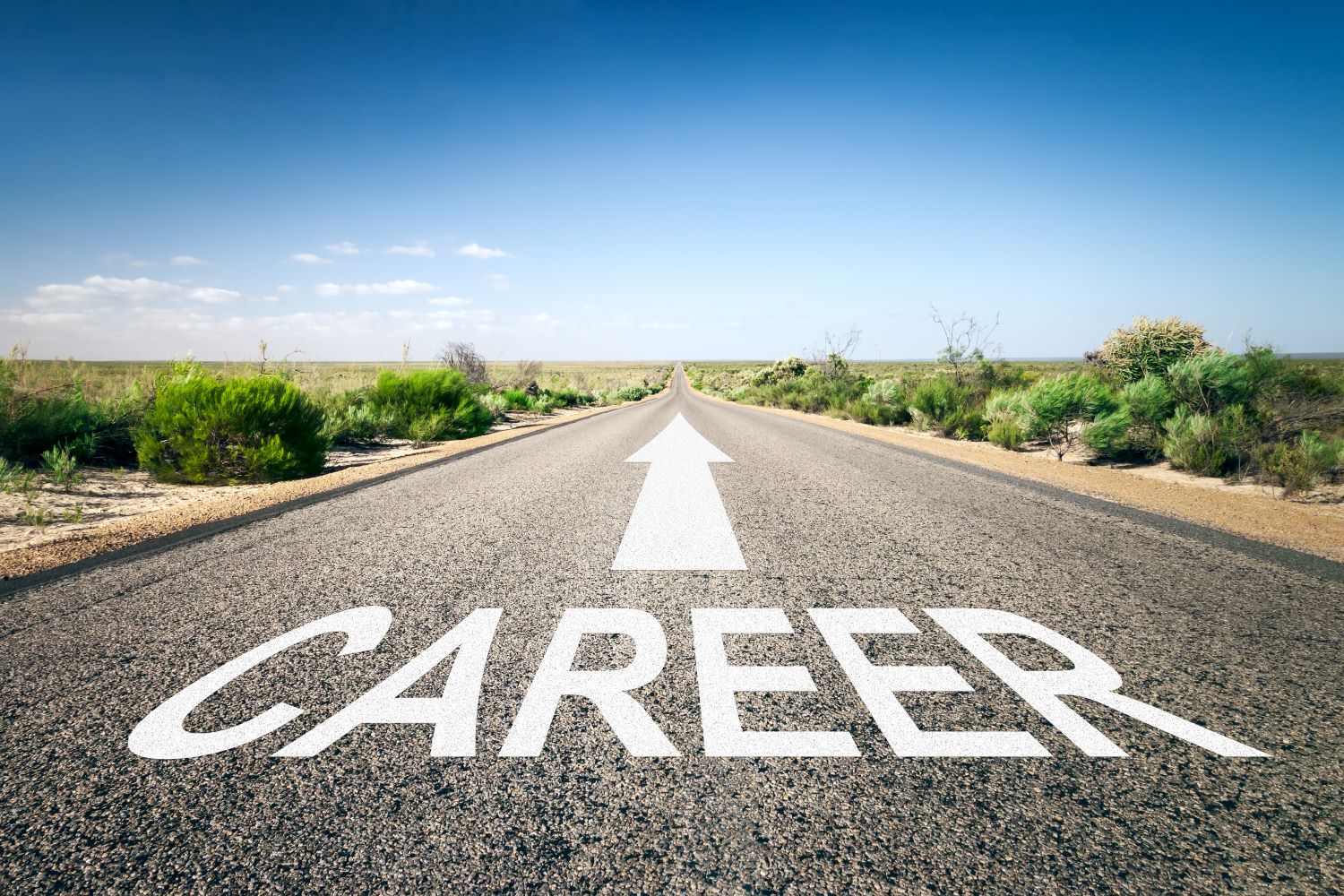 How to improve your status and career path